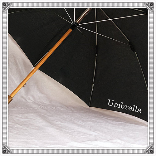 Umbrella