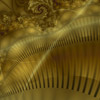 Dimmed Gold