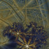 Nightfall in the Garden of Pythagoras