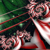 Peppermint Condition
