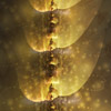 The Robot's Spine