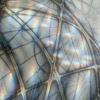Neural Net