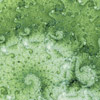 Seafoam